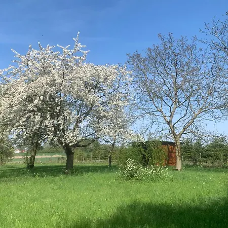 Ferme Renovee 300m2 La Casa Jeb : Charme, Calme Et Nature *